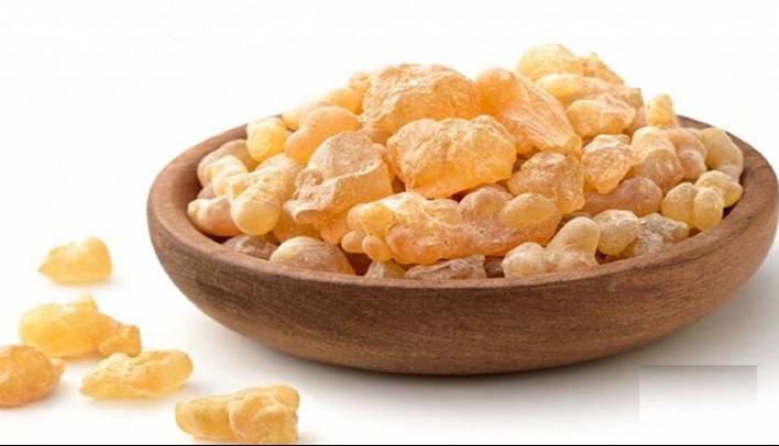 کندر واقعاً هوش را زیاد می‌کند؟ نتیجه راستی‌آزمایی یک باور قدیمی