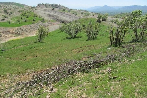 ندای لرستان
