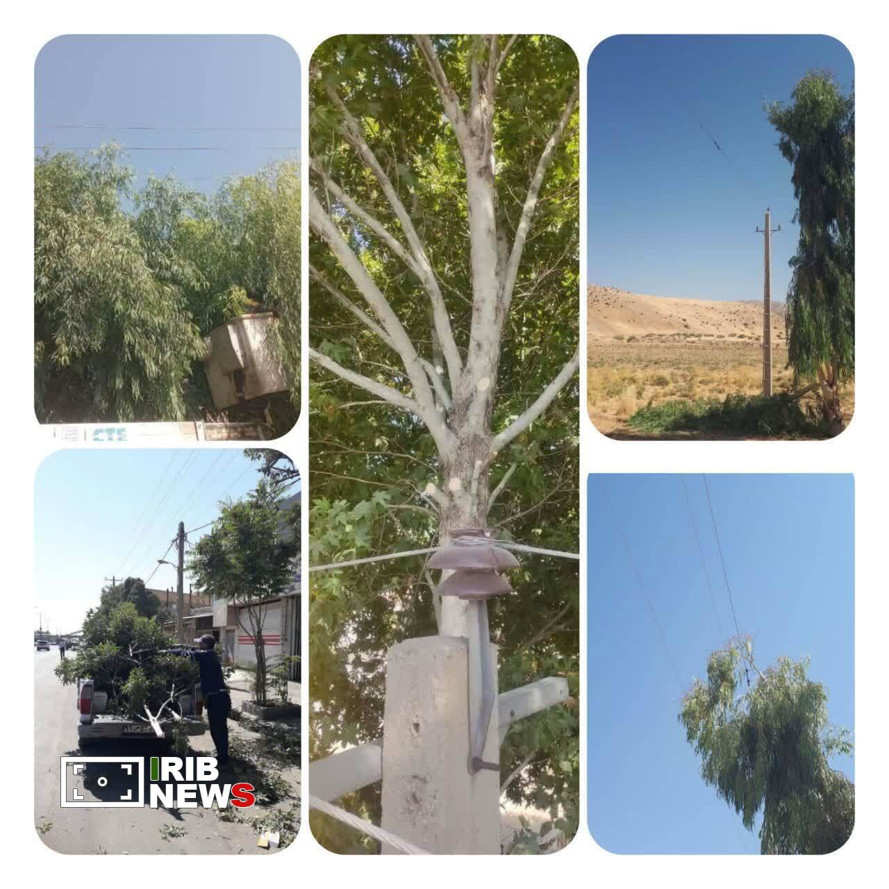اجرای بیش از ۶۲ کیلومتر شاخه‌زنی شبکه برق لرستان