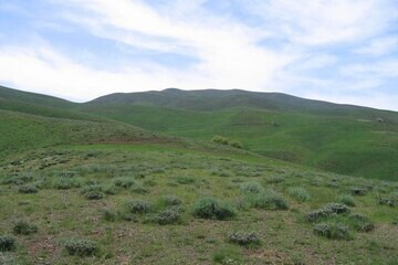 احاله مدیریت بیش از ۲ هزار هکتار از مراتع لرستان به بهره‌برداران