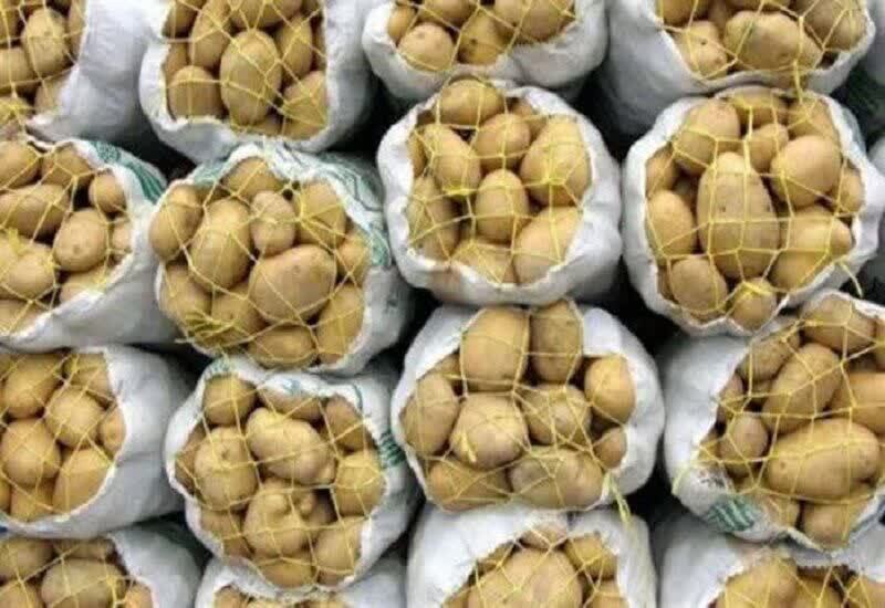 آغاز عرضه مستقیم سیب‌زمینی در لرستان