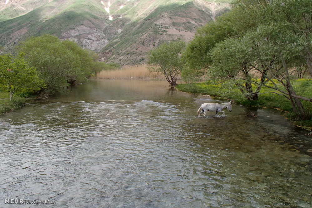 ندای لرستان