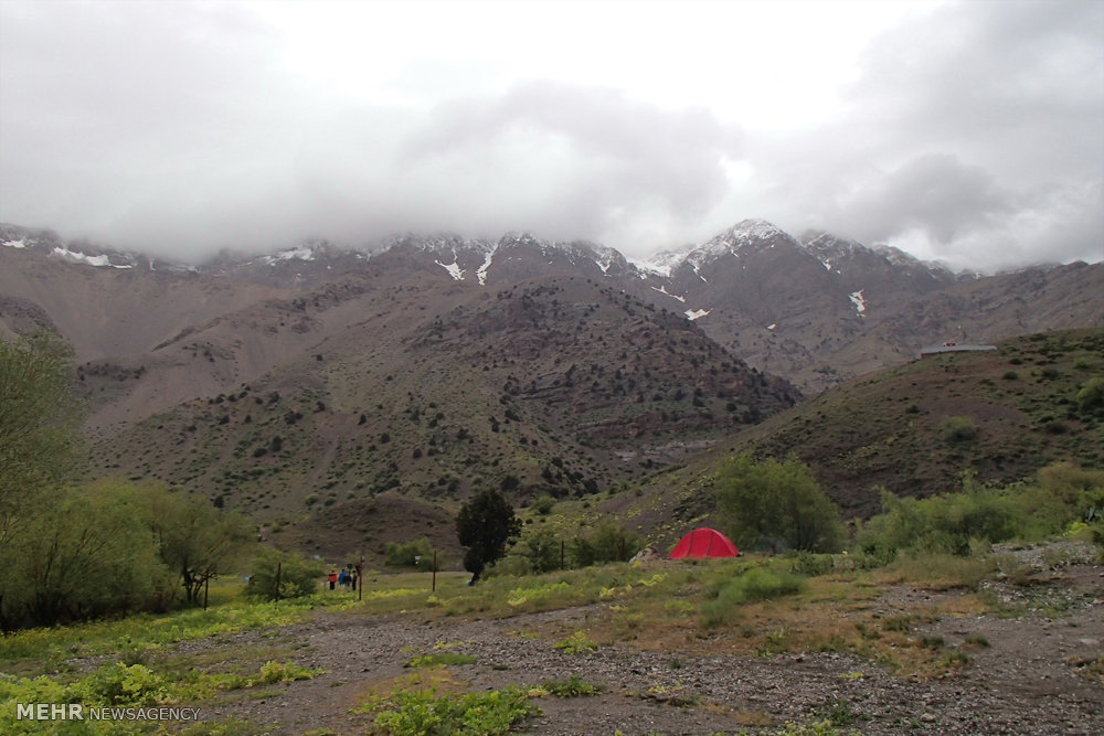 ندای لرستان