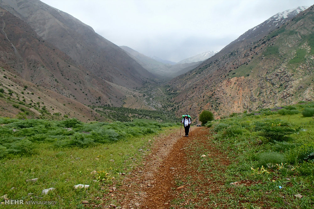 ندای لرستان