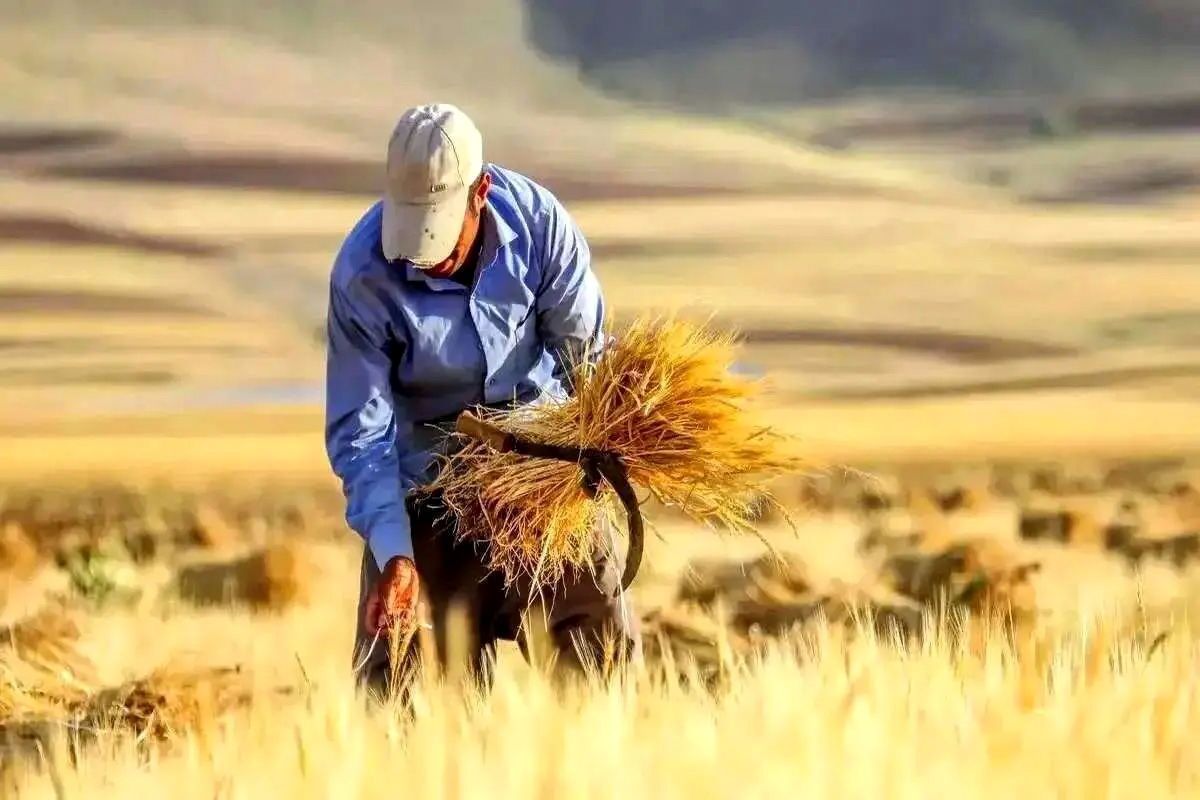 ندای لرستان