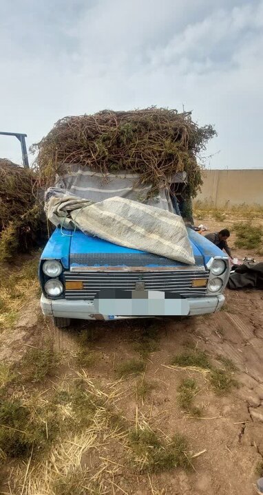 ندای لرستان