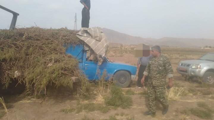ندای لرستان