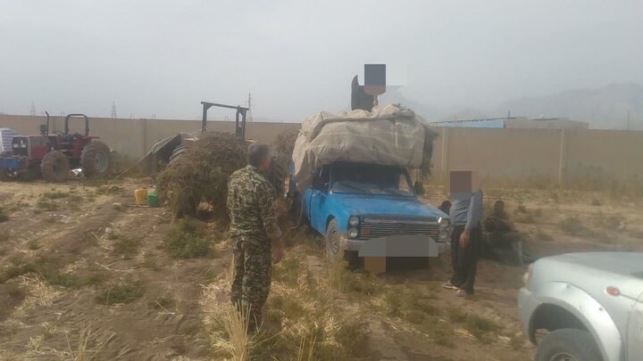 ندای لرستان
