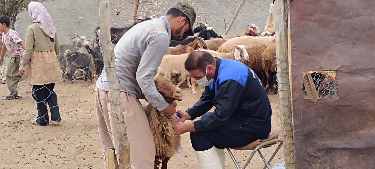 ندای لرستان