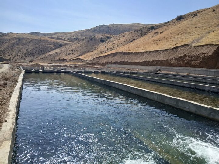 ندای لرستان