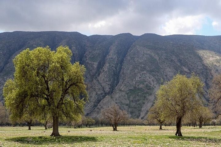 ندای لرستان