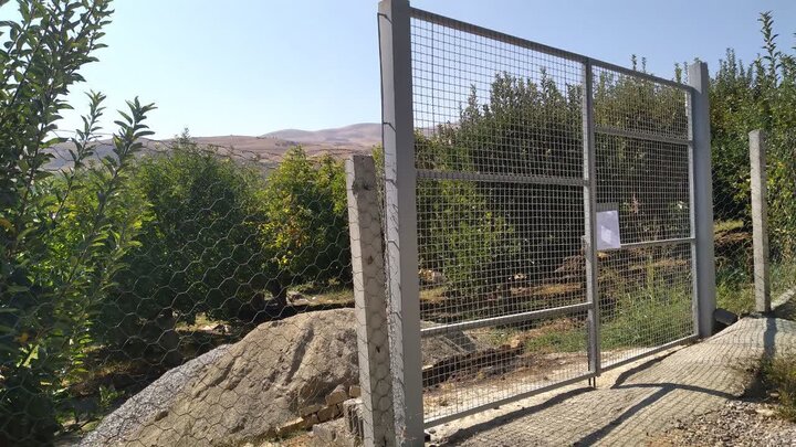 ندای لرستان