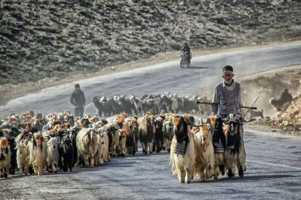 ندای لرستان