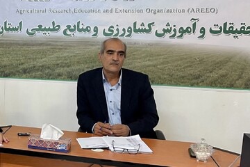 ساماندهی تولید بذر لرستان با توسعه مزارع نمایشی ارقام