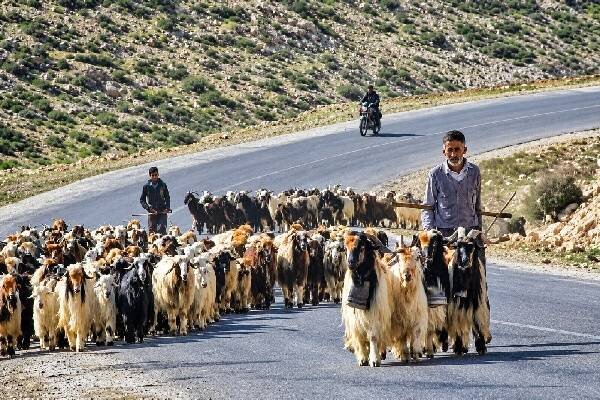ندای لرستان