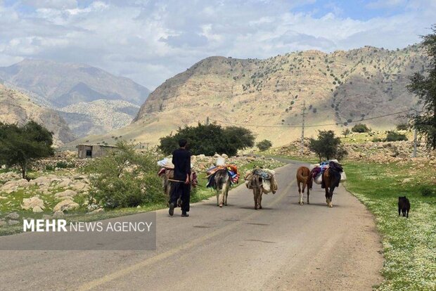 ندای لرستان