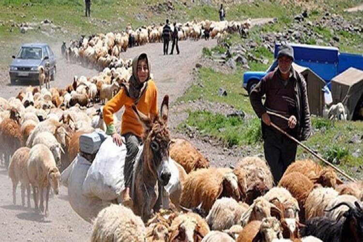 ندای لرستان