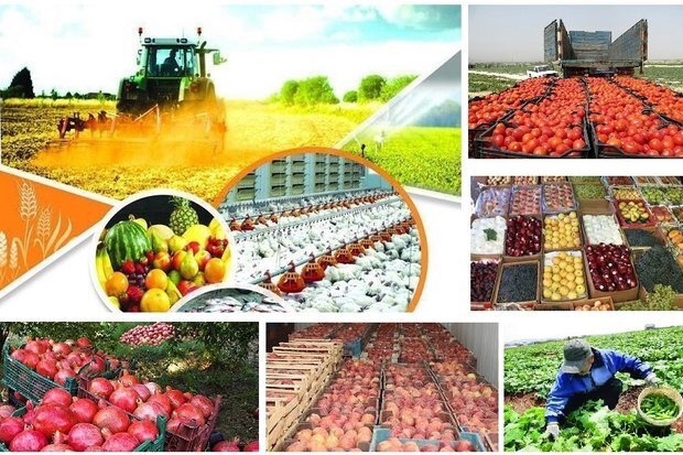 لرستان، سرزمین ظرفیت‌های کشاورزی؛ از انار و گردو تا حبوبات و آبزیان